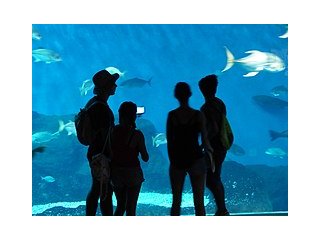 Acuario_de_Sevilla,_Espan%CC%83a,_2017_03